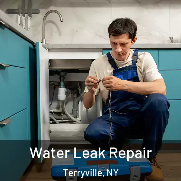  Water Leak Repair Terryville, NY